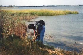 An MEC scientist at Jamaica Bay