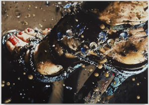 Marilyn Minter's Mudbath (Salon 94, 2006)